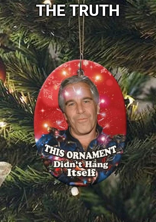 THE TRUTH | image tagged in memes,jeffrey epstein,christmas | made w/ Imgflip meme maker