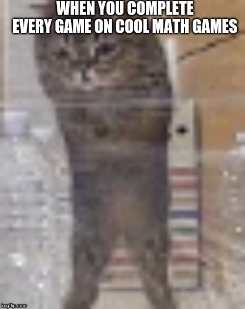 Dissapointed cat | WHEN YOU COMPLETE EVERY GAME ON COOL MATH GAMES | image tagged in memes | made w/ Imgflip meme maker