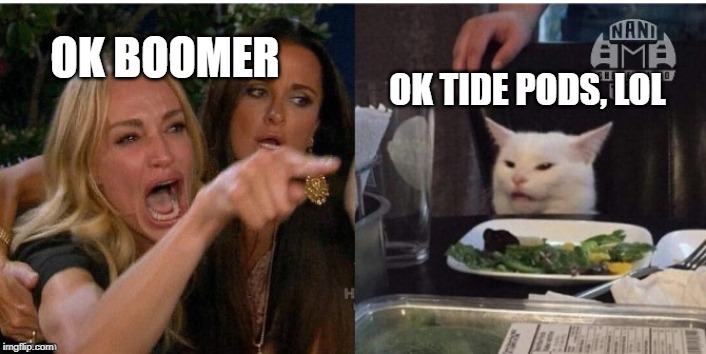 white cat table | OK BOOMER; OK TIDE PODS, LOL | image tagged in white cat table | made w/ Imgflip meme maker