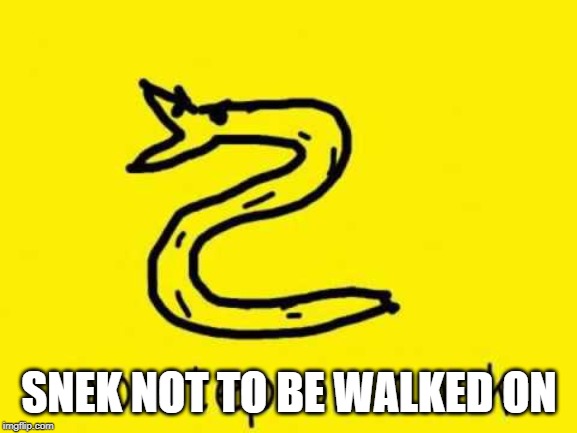 No step on snek | SNEK NOT TO BE WALKED ON | image tagged in no step on snek | made w/ Imgflip meme maker