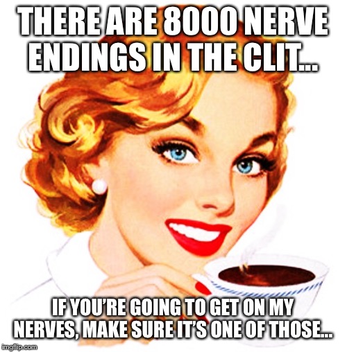 Here's An Idea For You | THERE ARE 8000 NERVE ENDINGS IN THE CLIT... IF YOU’RE GOING TO GET ON MY NERVES, MAKE SURE IT’S ONE OF THOSE... | image tagged in here's an idea for you | made w/ Imgflip meme maker