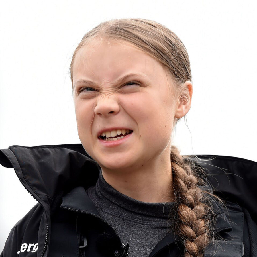 High Quality Greta growl Blank Meme Template