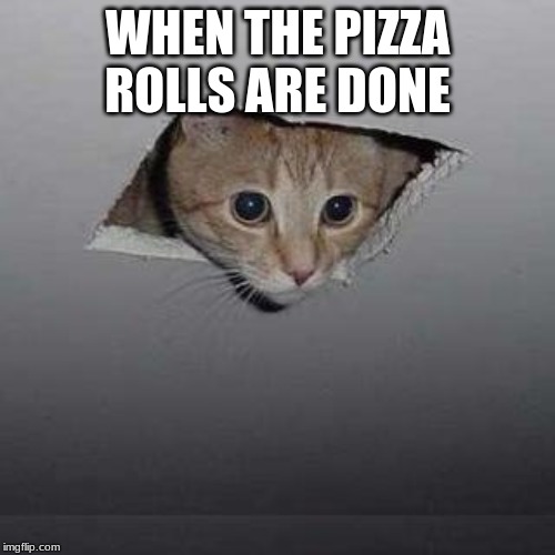 Ceiling Cat | WHEN THE PIZZA ROLLS ARE DONE | image tagged in memes,ceiling cat | made w/ Imgflip meme maker
