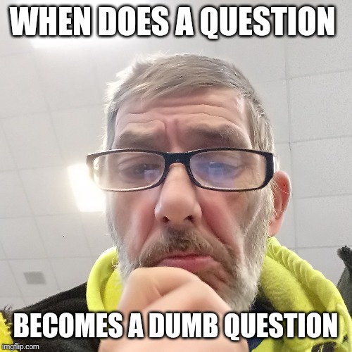 Pondering Bert | WHEN DOES A QUESTION; BECOMES A DUMB QUESTION | image tagged in pondering bert | made w/ Imgflip meme maker
