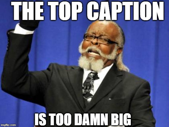 Too Damn High | THE TOP CAPTION; IS TOO DAMN BIG | image tagged in memes,too damn high | made w/ Imgflip meme maker