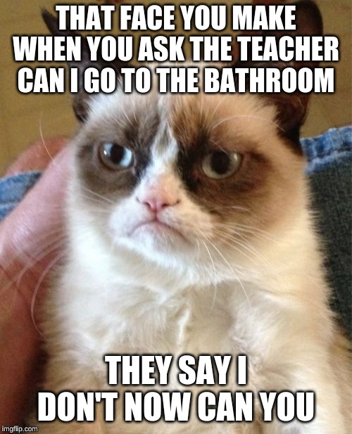 Grumpy Cat Meme | THAT FACE YOU MAKE WHEN YOU ASK THE TEACHER CAN I GO TO THE BATHROOM; THEY SAY I DON'T NOW CAN YOU | image tagged in memes,grumpy cat | made w/ Imgflip meme maker