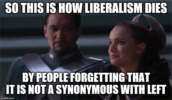 Star wars so this is how liberty dies | SO THIS IS HOW LIBERALISM DIES BY PEOPLE FORGETTING THAT IT IS NOT A SYNONYMOUS WITH LEFT | image tagged in star wars so this is how liberty dies | made w/ Imgflip meme maker