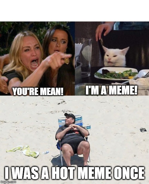 I'M A MEME! YOU'RE MEAN! I WAS A HOT MEME ONCE | image tagged in chris christy beach,memes,woman yelling at cat | made w/ Imgflip meme maker