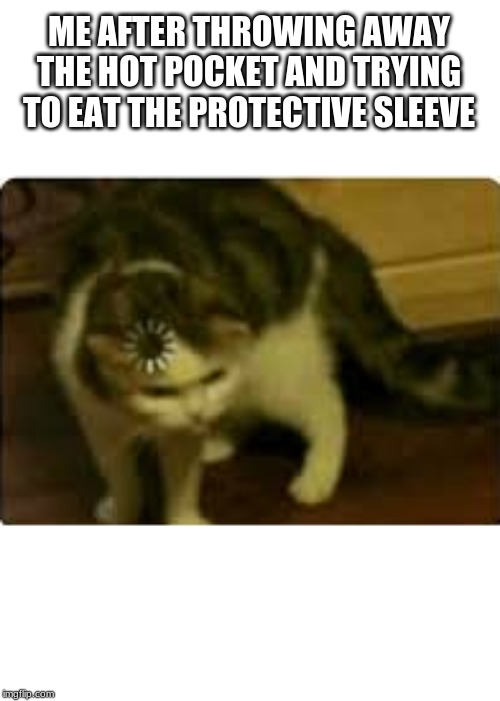 Buffering cat | ME AFTER THROWING AWAY THE HOT POCKET AND TRYING TO EAT THE PROTECTIVE SLEEVE | image tagged in buffering cat | made w/ Imgflip meme maker