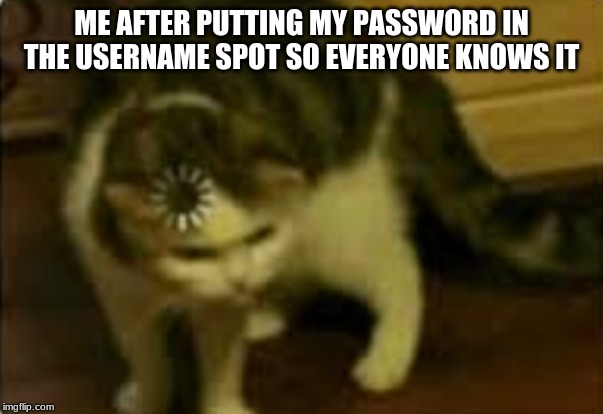 Buffering Cat | ME AFTER PUTTING MY PASSWORD IN THE USERNAME SPOT SO EVERYONE KNOWS IT | image tagged in buffering cat | made w/ Imgflip meme maker