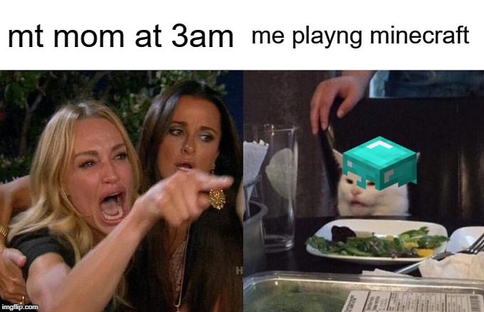 Woman Yelling At Cat Meme | mt mom at 3am; me playng minecraft | image tagged in memes,woman yelling at cat | made w/ Imgflip meme maker
