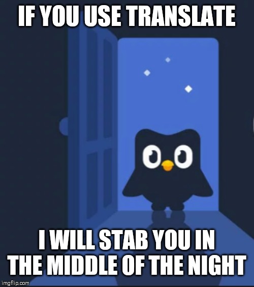 Duolingo bird | IF YOU USE TRANSLATE I WILL STAB YOU IN THE MIDDLE OF THE NIGHT | image tagged in duolingo bird | made w/ Imgflip meme maker