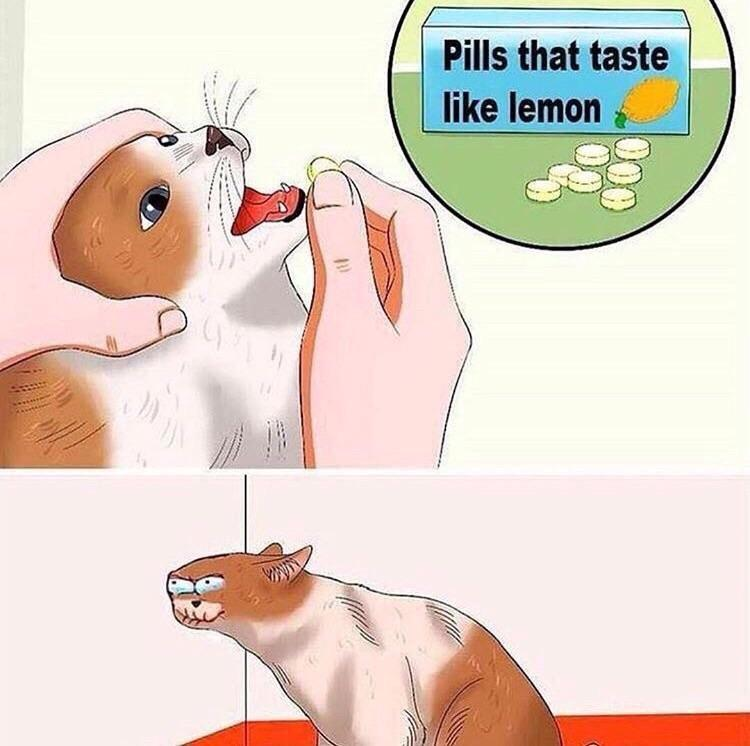 Sour Pills Cat Blank Meme Template