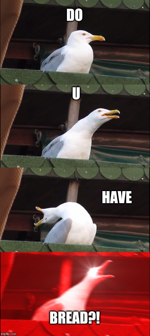 Inhaling Seagull | DO; U; HAVE; BREAD?! | image tagged in memes,inhaling seagull | made w/ Imgflip meme maker