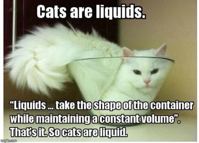 proof positive | image tagged in cats,cats are weird,liquids | made w/ Imgflip meme maker