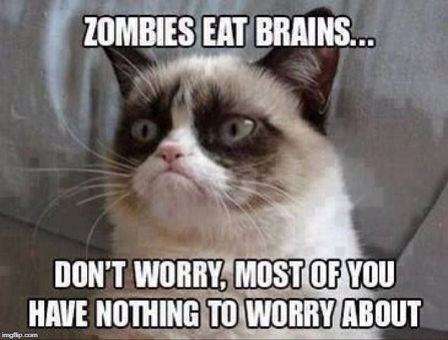 zombies eat brains | image tagged in grumpy cat,zombies,brains,stupid people | made w/ Imgflip meme maker