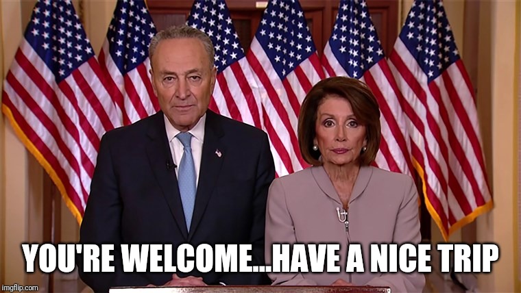 Pelosi and Schumer | YOU'RE WELCOME...HAVE A NICE TRIP | image tagged in pelosi and schumer | made w/ Imgflip meme maker