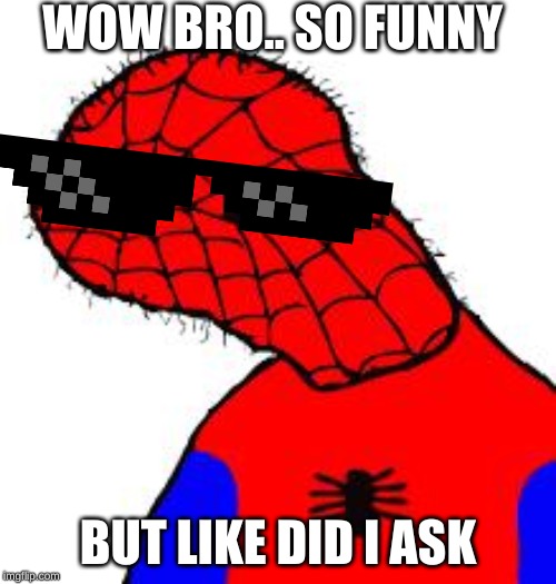 Spooderman | WOW BRO.. SO FUNNY; BUT LIKE DID I ASK | image tagged in spooderman | made w/ Imgflip meme maker