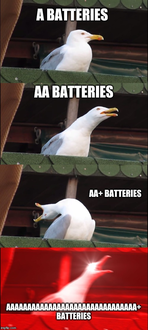 Inhaling Seagull | A BATTERIES; AA BATTERIES; AA+ BATTERIES; AAAAAAAAAAAAAAAAAAAAAAAAAAAAAAA+ BATTERIES | image tagged in memes,inhaling seagull | made w/ Imgflip meme maker