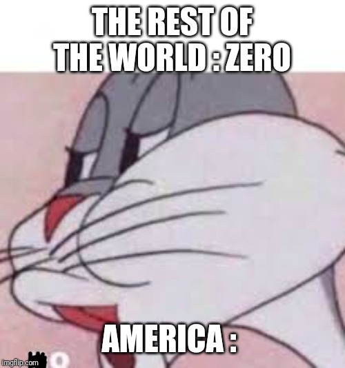 NO bugs | THE REST OF THE WORLD : ZERO; AMERICA : | image tagged in no bugs | made w/ Imgflip meme maker