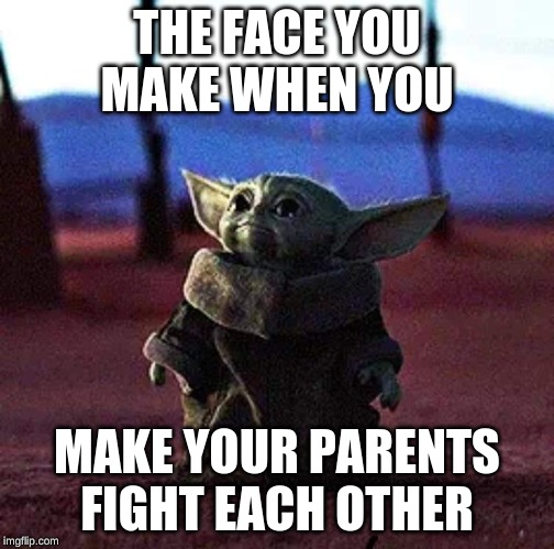Baby Yoda | THE FACE YOU MAKE WHEN YOU; MAKE YOUR PARENTS FIGHT EACH OTHER | image tagged in baby yoda | made w/ Imgflip meme maker