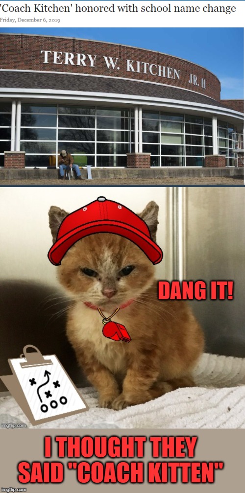 Coach kitten | DANG IT! I THOUGHT THEY SAID "COACH KITTEN" | image tagged in memes,cat memes,kitten,cute kittens,funny memes | made w/ Imgflip meme maker
