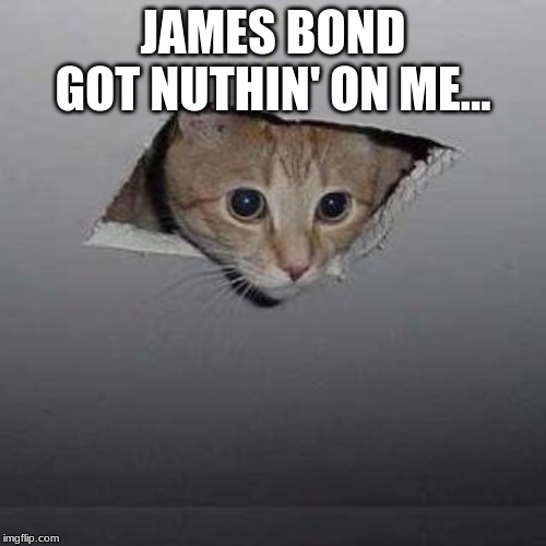 Ceiling Cat | JAMES BOND GOT NUTHIN' ON ME... | image tagged in memes,ceiling cat | made w/ Imgflip meme maker