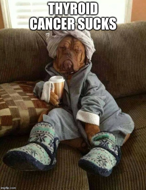 Dog Tired | THYROID CANCER SUCKS | image tagged in dog tired | made w/ Imgflip meme maker