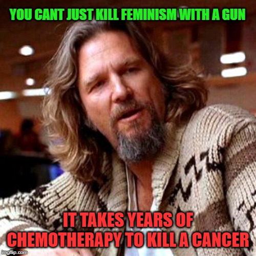 Violence solves nothing | YOU CANT JUST KILL FEMINISM WITH A GUN; IT TAKES YEARS OF CHEMOTHERAPY TO KILL A CANCER | image tagged in feminism is cancer,cancer,feminism,montreal,violence is never the answer,idiots | made w/ Imgflip meme maker