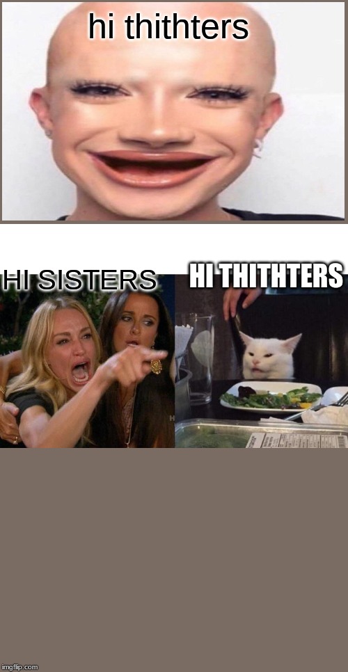 Woman Yelling At Cat | hi thithters; HI THITHTERS; HI SISTERS | image tagged in memes,woman yelling at cat | made w/ Imgflip meme maker