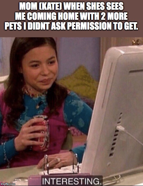 interesting | MOM (KATE) WHEN SHES SEES ME COMING HOME WITH 2 MORE PETS I DIDNT ASK PERMISSION TO GET. | image tagged in interesting | made w/ Imgflip meme maker