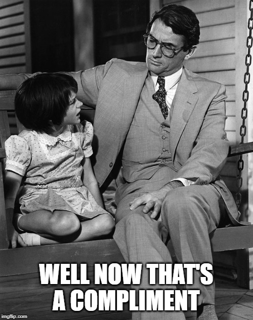 Atticus and Scout | WELL NOW THAT'S A COMPLIMENT | image tagged in atticus and scout | made w/ Imgflip meme maker
