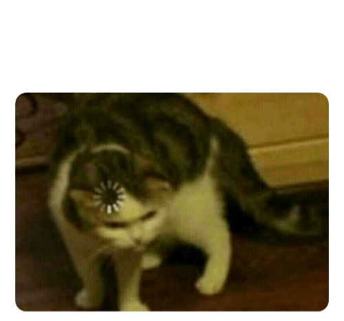 Buffering Cat Blank Meme Template