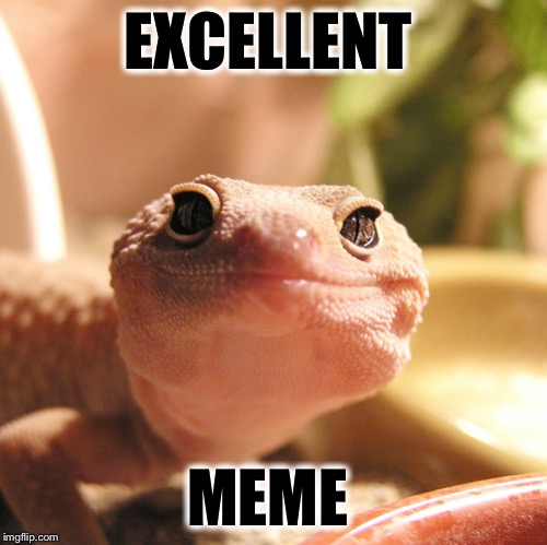 EXCELLENT MEME | made w/ Imgflip meme maker