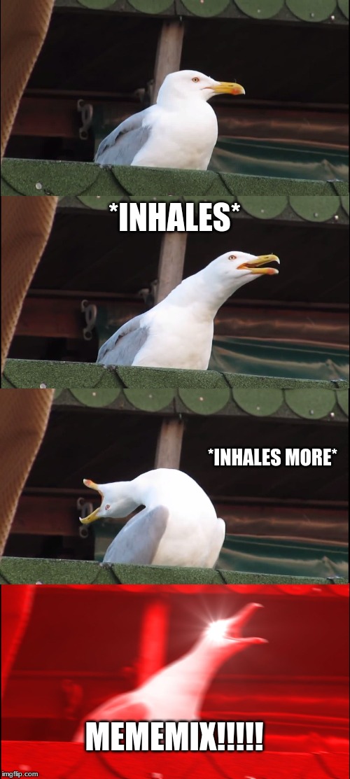 Inhaling Seagull Meme | *INHALES* *INHALES MORE* MEMEMIX!!!!! | image tagged in memes,inhaling seagull | made w/ Imgflip meme maker