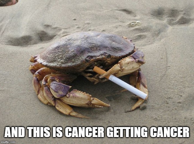 Smoking Crab | AND THIS IS CANCER GETTING CANCER | image tagged in smoking crab | made w/ Imgflip meme maker