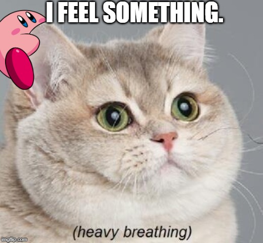 Heavy Breathing Cat | I FEEL SOMETHING. | image tagged in memes,heavy breathing cat | made w/ Imgflip meme maker