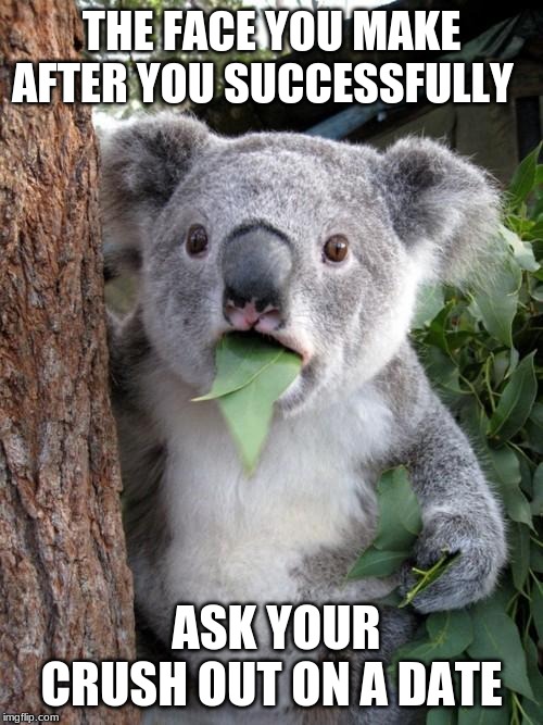 Surprised Koala | THE FACE YOU MAKE AFTER YOU SUCCESSFULLY; ASK YOUR CRUSH OUT ON A DATE | image tagged in memes,surprised koala | made w/ Imgflip meme maker