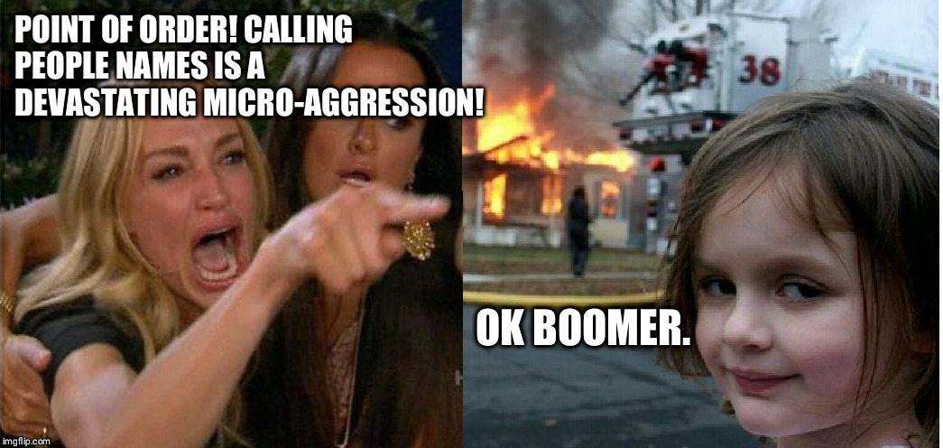 Micro aggression boomer | POINT OF ORDER! CALLING 
PEOPLE NAMES IS A 
DEVASTATING MICRO-AGGRESSION! OK BOOMER. | image tagged in ok boomer | made w/ Imgflip meme maker