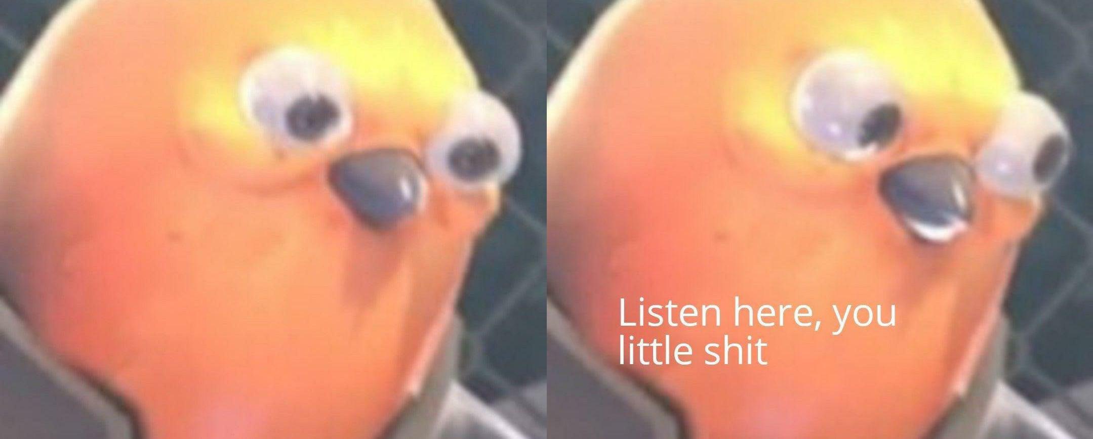 High Quality listen here you little shit Blank Meme Template