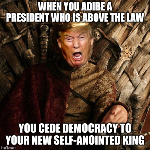 The Mad King! | WHEN YOU ADIBE A PRESIDENT WHO IS ABOVE THE LAW; YOU CEDE DEMOCRACY TO YOUR NEW SELF-ANOINTED KING | image tagged in trump game of thrones,memes,politics | made w/ Imgflip meme maker