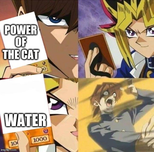 Yugioh card draw | POWER OF THE CAT; WATER | image tagged in yugioh card draw | made w/ Imgflip meme maker