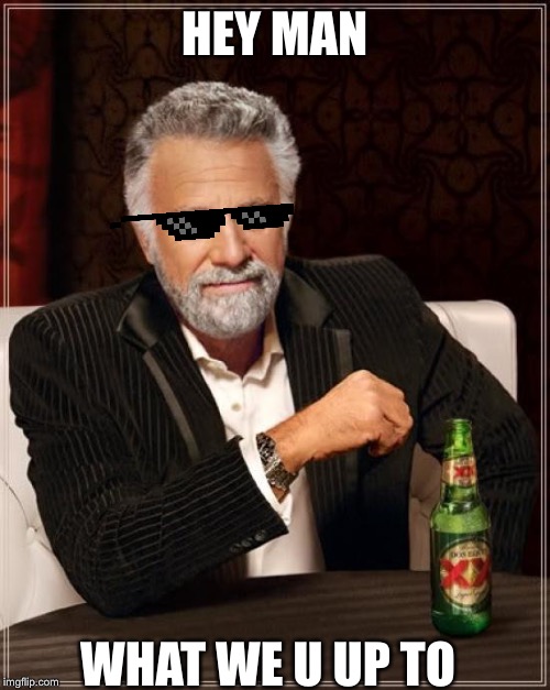 The Most Interesting Man In The World Meme | HEY MAN; WHAT WE U UP TO | image tagged in memes,the most interesting man in the world | made w/ Imgflip meme maker