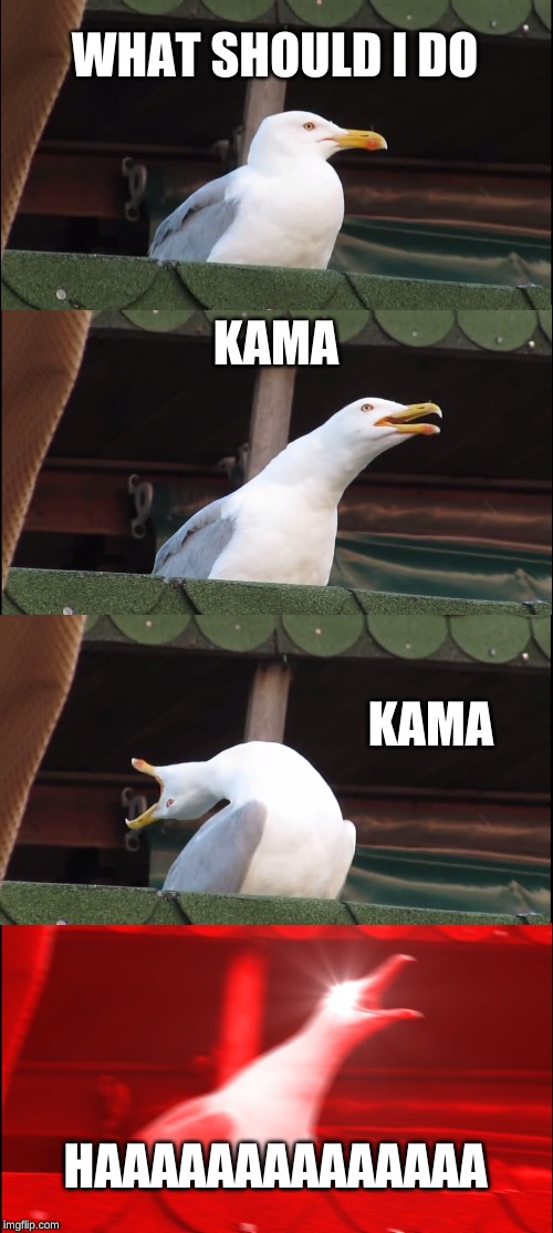 Inhaling Seagull | WHAT SHOULD I DO; KAMA; KAMA; HAAAAAAAAAAAAAA | image tagged in memes,inhaling seagull | made w/ Imgflip meme maker