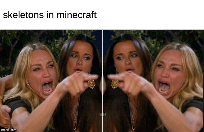 Woman Yelling At Cat Meme | skeletons in minecraft | image tagged in memes,woman yelling at cat | made w/ Imgflip meme maker