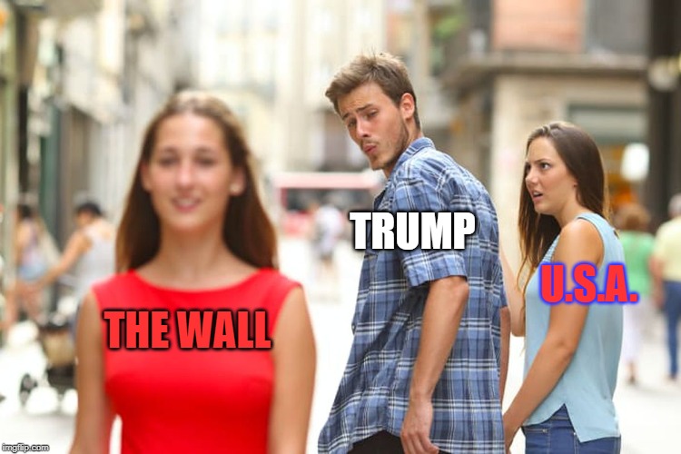 Distracted Boyfriend | TRUMP; U.S.A. THE WALL | image tagged in memes,distracted boyfriend | made w/ Imgflip meme maker