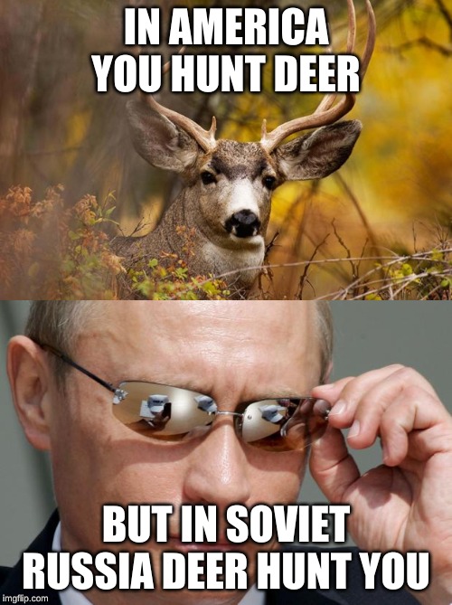 IN AMERICA YOU HUNT DEER; BUT IN SOVIET RUSSIA DEER HUNT YOU | image tagged in in soviet russia,deer meme | made w/ Imgflip meme maker