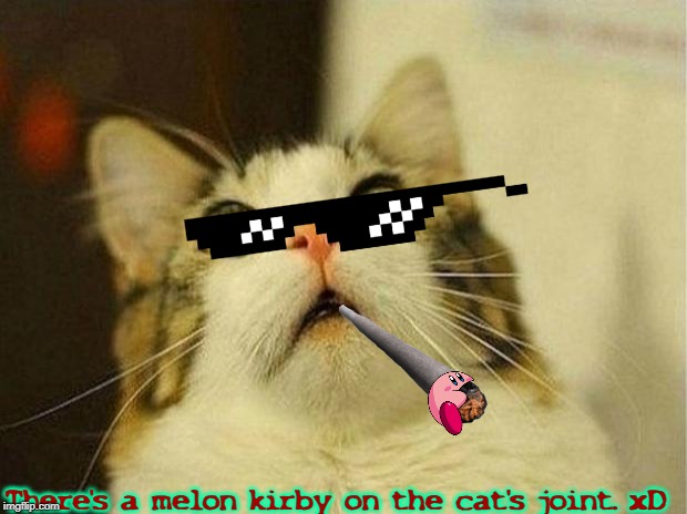 Uh oh. | There's a melon kirby on the cat's joint. xD | image tagged in memes,scared cat,random,kirby,why did i make this | made w/ Imgflip meme maker