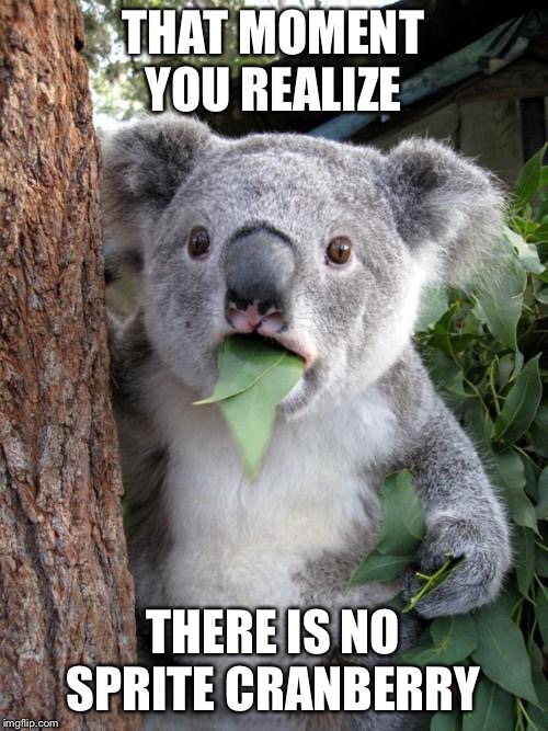 Surprised Koala | THAT MOMENT YOU REALIZE; THERE IS NO SPRITE CRANBERRY | image tagged in memes,surprised koala | made w/ Imgflip meme maker