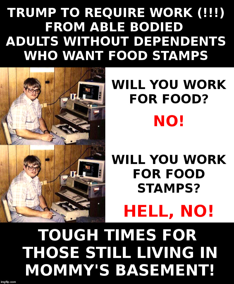 Will Work For Food Stamps? | image tagged in trump,food stamps,food fight,mommy,basement dweller,crying liberals | made w/ Imgflip meme maker